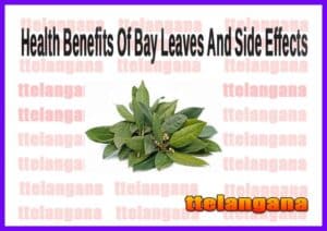 Health Benefits Of Bay Leaves And Side Effects
