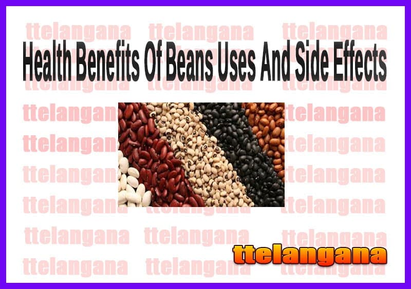 Health Benefits Of Beans Uses And Side Effects