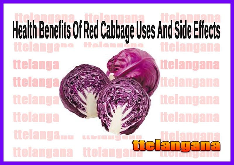 Health Benefits Of Red Cabbage Uses And Side Effects