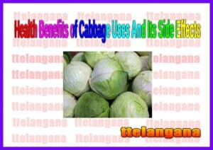 Health Benefits of Cabbage Uses And Its Side Effects