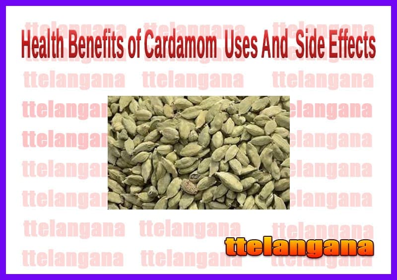 Health Benefits of Cardamom Uses And Side Effects