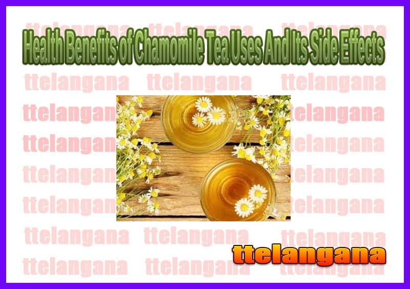 Health Benefits of Chamomile Tea Uses And Its Side Effects