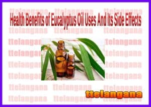 Health Benefits of Eucalyptus Oil Uses And Its Side Effects