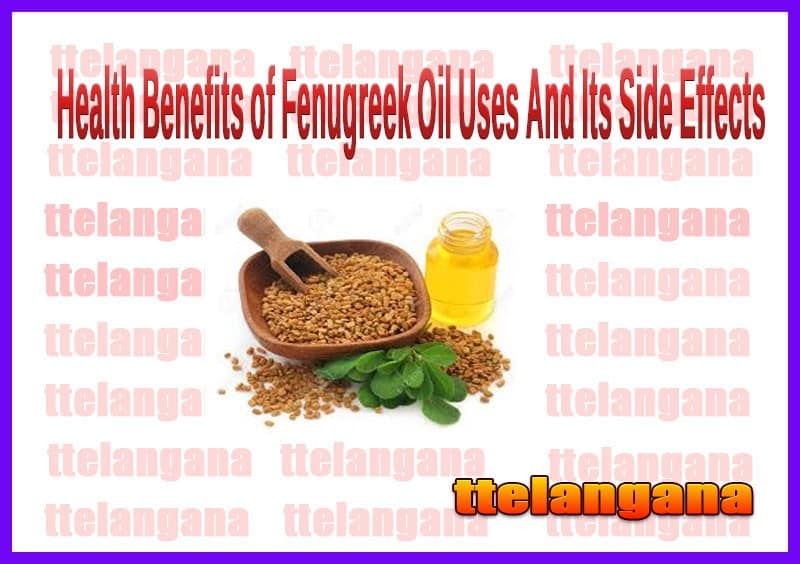 Health Benefits of Fenugreek Oil Uses And Its Side Effects