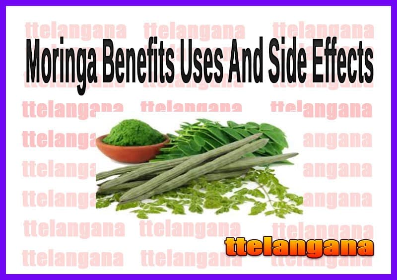 Moringa Benefits Uses And Side Effects