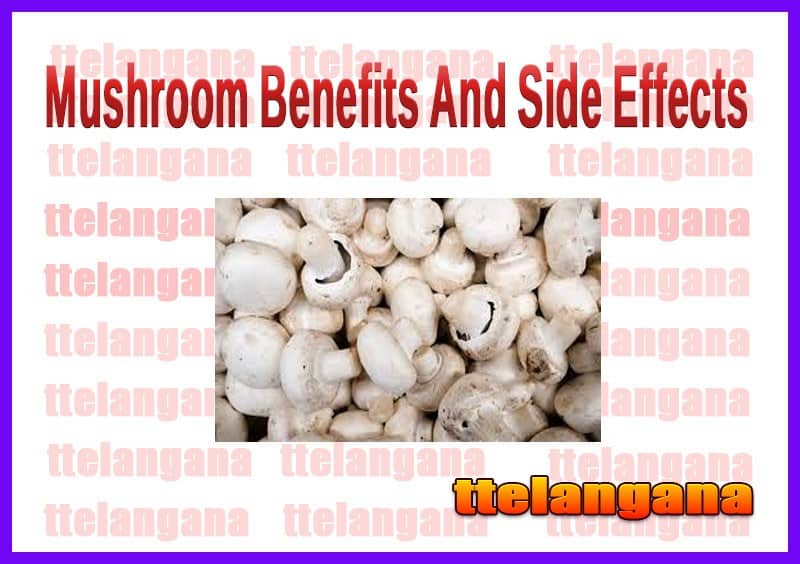 Mushroom Benefits And Side Effects