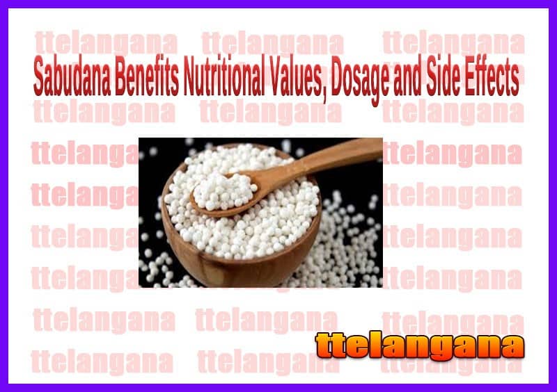 Sabudana Benefits Nutritional Values, Dosage and Side Effects