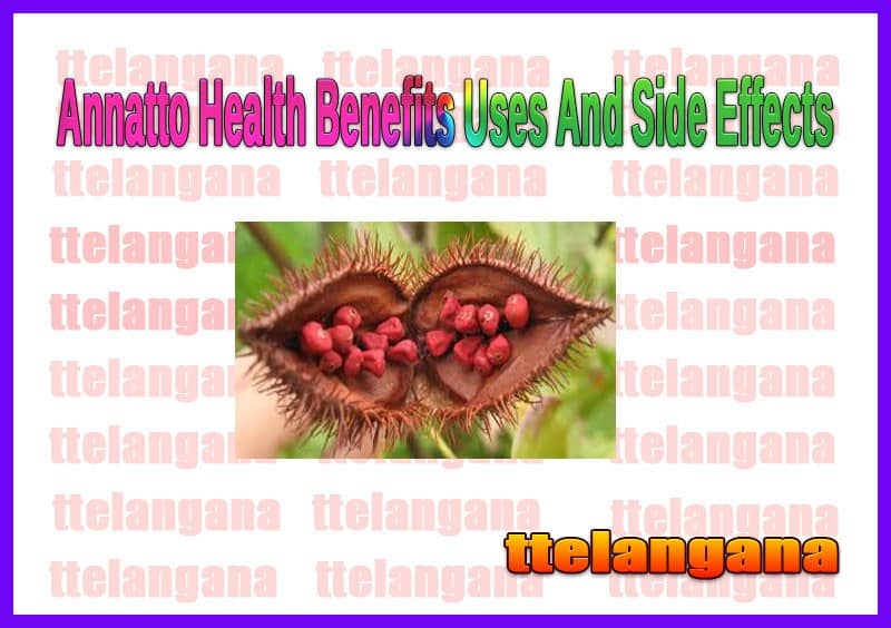 Health Benefits Of Annatto Uses And Side Effects
