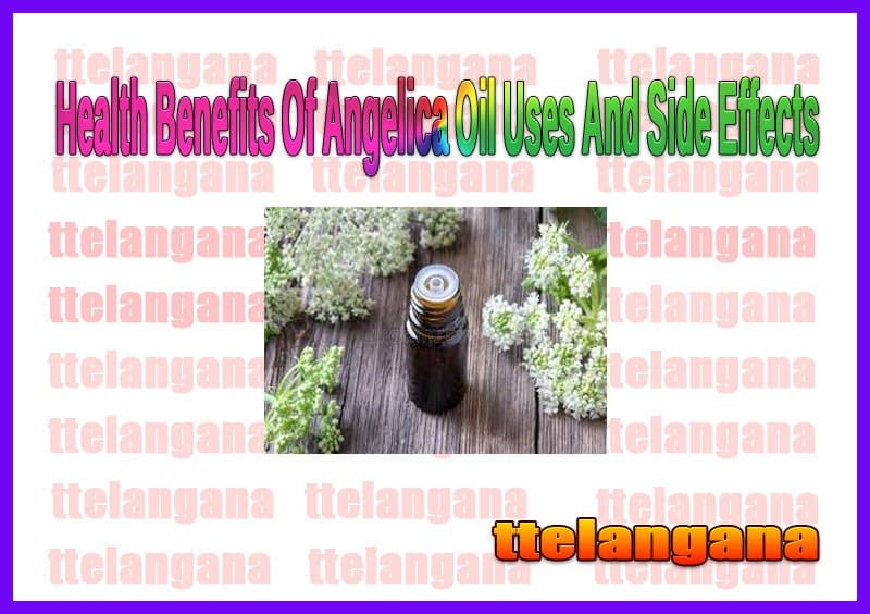 Health Benefits Of Angelica Oil Uses And Side Effects