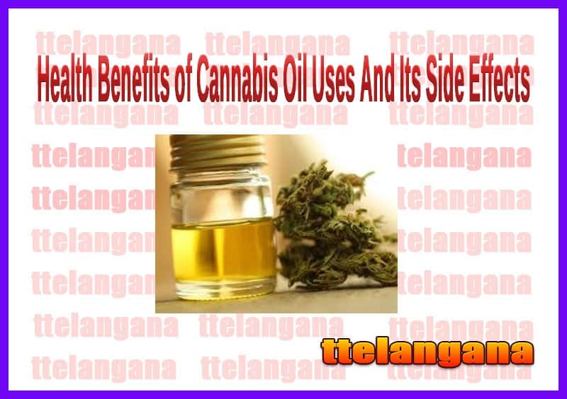 Health Benefits of Cannabis Oil Uses And Its Side Effects