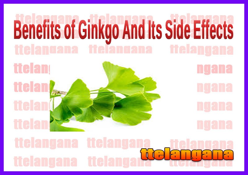 Benefits of Ginkgo And Its Side Effects