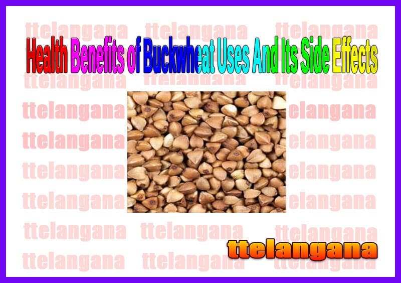Health Benefits of Buckwheat Uses And Its Side Effects