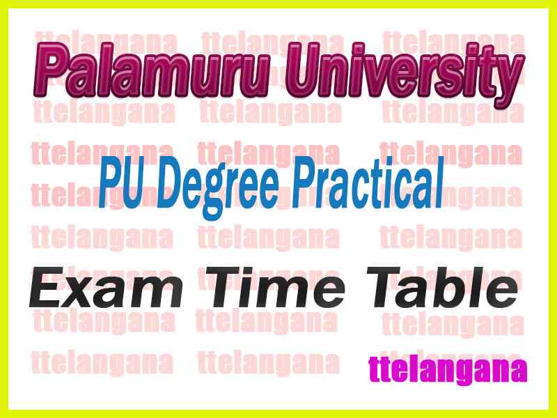 Palamuru University PU Degree Practical Exam Time Table