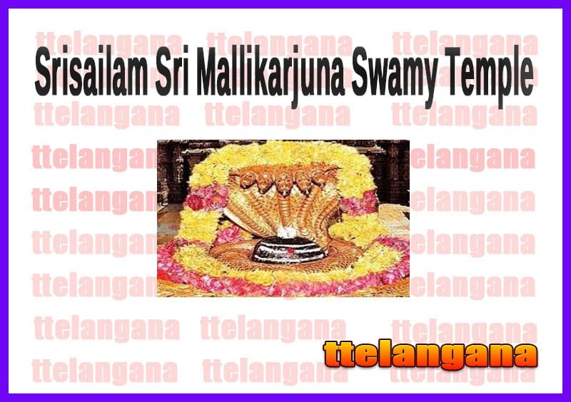 Full Details Of Srisailam Sri Mallikarjuna Swamy Temple