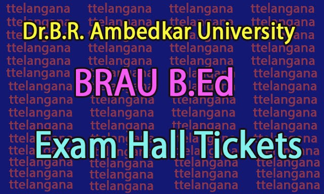 Dr.B.R. Ambedkar University BRAU B.Ed Exam Hall Tickets Download