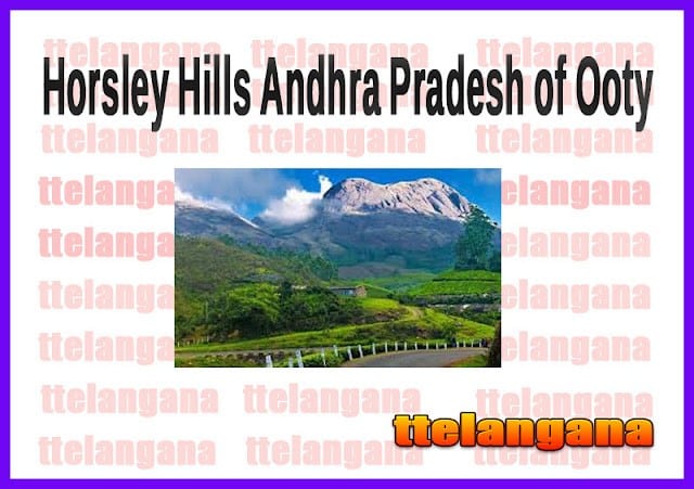 Horsley Hills Andhra Pradesh of Ooty
