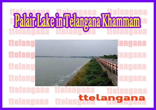 Palair Lake in Telangana Khammam