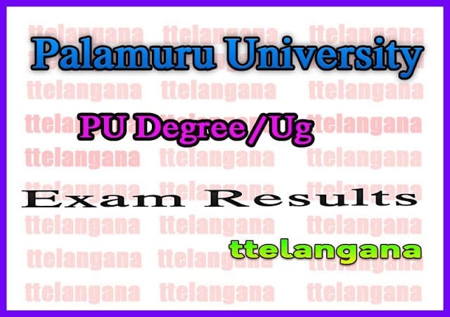 Palamuru University Degree 1st 2nd 3rd year Exam Results