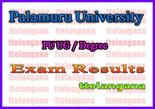 Palamuru University Degree 2nd 3rd Year Annual Exam Time Table
