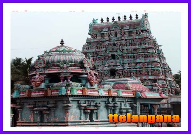 Sri Naganathaswamy Temple Tamilnadu Full Details