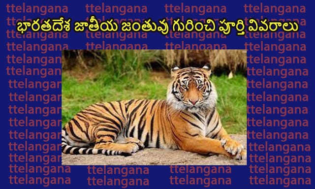 Complete Details About National Animal of India -