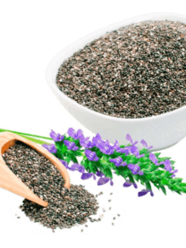 Amazing Health Benefits Chia seeds