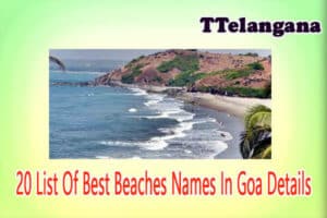 20 List Of Best Beaches Names In Goa Details