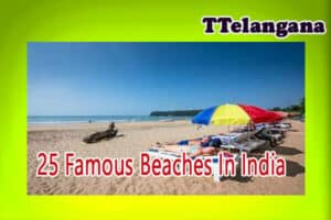 25 Famous Beaches In India