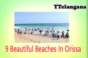 9 Beautiful Beaches In Orissa