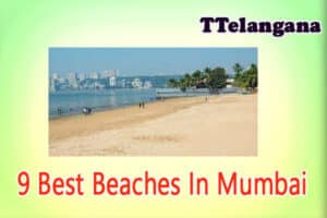 9 Best Beaches In Mumbai