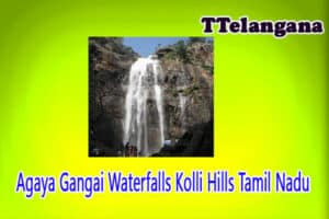Agaya Gangai Waterfalls Kolli Hills Tamil Nadu