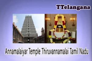 Annamalaiyar Temple Thiruvannamalai Tamil Nadu 