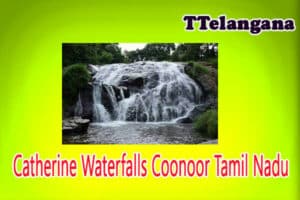 Catherine Waterfalls Coonoor Tamil Nadu