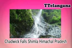Chadwick Falls Shimla Himachal Pradesh