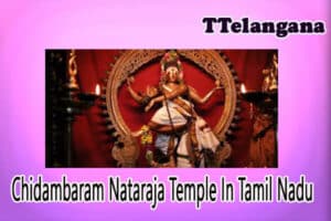 Chidambaram Nataraja Temple In Tamil Nadu