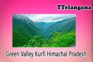 Green Valley Kurfi Himachal Pradesh
