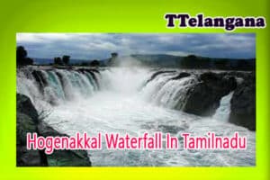 Hogenakkal Waterfall In Tamilnadu