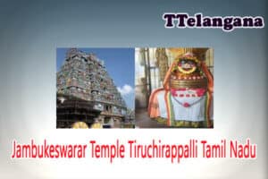 Jambukeswarar Temple Tiruchirappalli Tamil Nadu