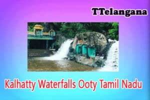 Kalhatty Waterfalls Ooty Tamil Nadu