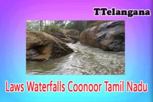 Laws Waterfalls Coonoor Tamil Nadu