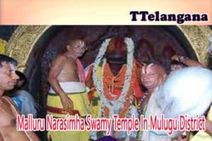 Malluru Narasimha Swamy Temple In Mulugu District
