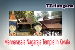 Mannarasala Nagaraja Temple In Kerala