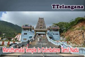 Maruthamalai Temple In Coimbatore Tamil Nadu