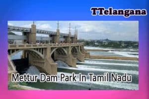 Mettur Dam Park In Tamil Nadu