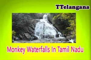 Monkey Waterfalls In Tamil Nadu