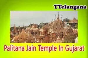 Palitana Jain Temple In Gujarat