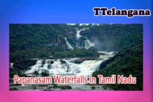 Papanasam Waterfalls In Tamil Nadu