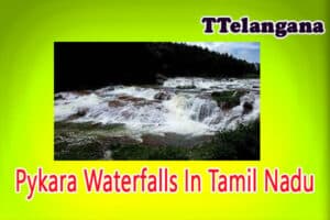 Pykara Waterfalls In Tamil Nadu
