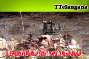 Saleshwaram Lingamaiah Swamy Temple In Mahabubnagar 