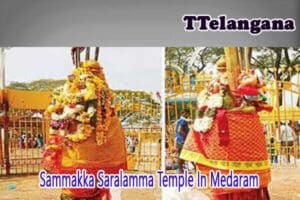 Sammakka Saralamma Temple In Medaram
